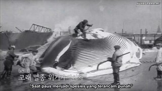 Chef of Antarctica Episode 6