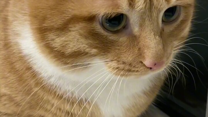 น่าเอ็นดูจัง