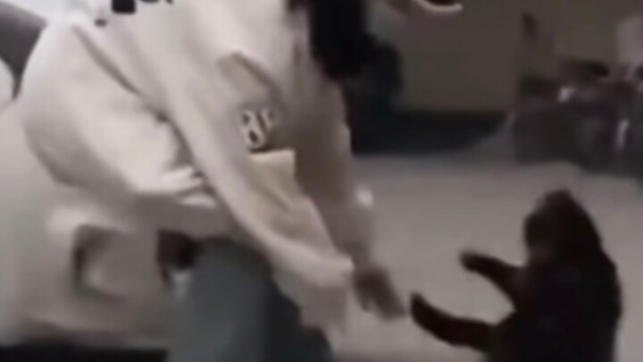 Gak nyangka kamu itu “Kucing Lompat”!