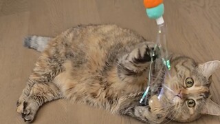 Bang Dang: Mainan hari ini sudah selesai sampai di sini