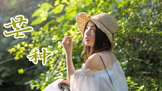 〖Xin Xiaomeng〗 Grain in Ear❤️Give me a song to make you fall in love with the whole summer