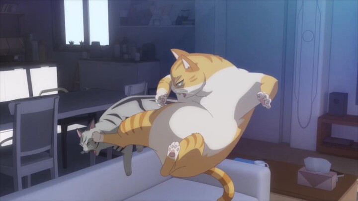 [2027] Wake Up, Cat Owners! Official PV 1 [MCE Chinese Translation Group]