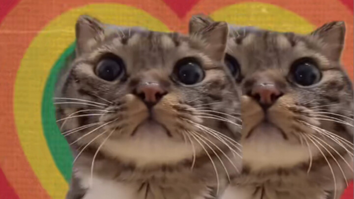 Si Ceria dan Bersemangat, Si Rambut Keriting