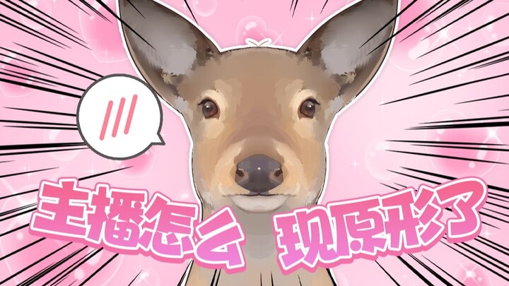 The most abstract roe deer virtual anchor you have never seen