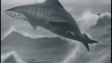 Shark Attack- Limp Bizkit