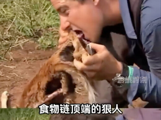 ฝีมือไม่อาจคาดเดา ยิ่งเจอคู่แข่งแกร่งก็ยิ่งแกร่ง #เบย์เยอ #เอาชีวิตรอดในป่า #ตากล้อง #สถานีสังเกตควา