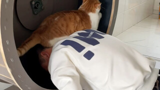 Kenapa ini malah tidak bisa dipeluk lagi!