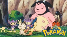 Pokémon Tập 209: Người Mẹ Miltank! Bí Ẩn Của Sa Mạc! (Lồng Tiếng)