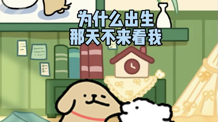 小鸡毛的机智时刻