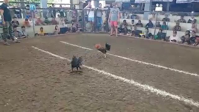 f#win