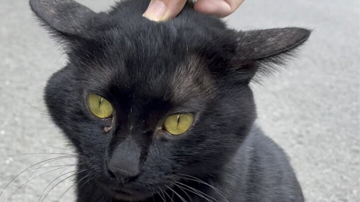 Some adorable little animals