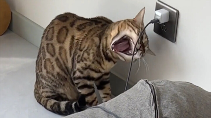 ดวงตาของฉันเริ่มแจ่มใสขึ้นทันที