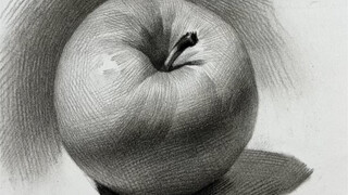 【Phác thảo tĩnh vật】Thực hành vẽ đường nét Apple