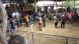 Loboc Arena Stag/Cock 3Hits Ulutan 3rd Fight.
