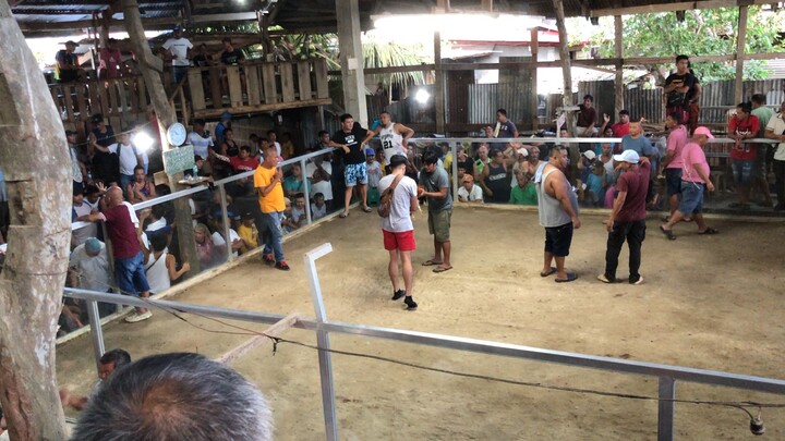 Loboc Arena Stag/Cock 3Hits Ulutan 3rd Fight.