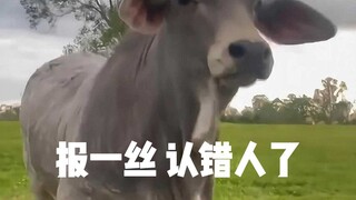 Old Cow, I printed the wrong person.