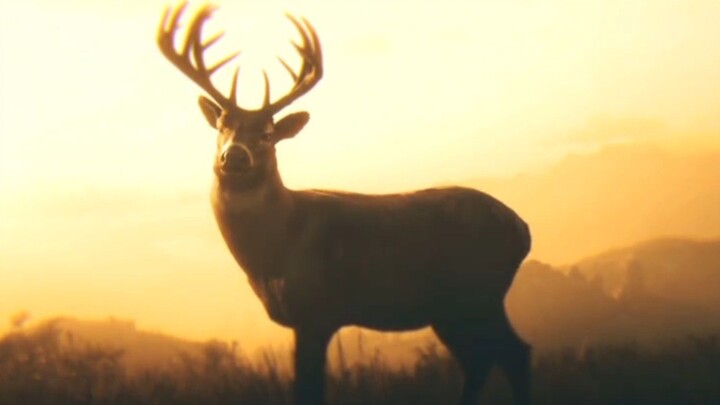 RDR2 - Arthur's Last Breath