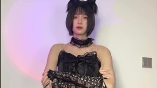 埃及猫面无表情的扭来扭去
