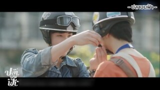[ปลาบนฟ้า] เกาะติดไว้นี่แหละดีที่สุด