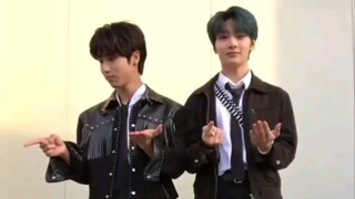 【Stray Kids แปดแฟน】TikTok 210120-210121 ท้าทาย All In อันดับ NG คู่ บันทึกไว้เอง มาดูความโง่ของสมาชิ