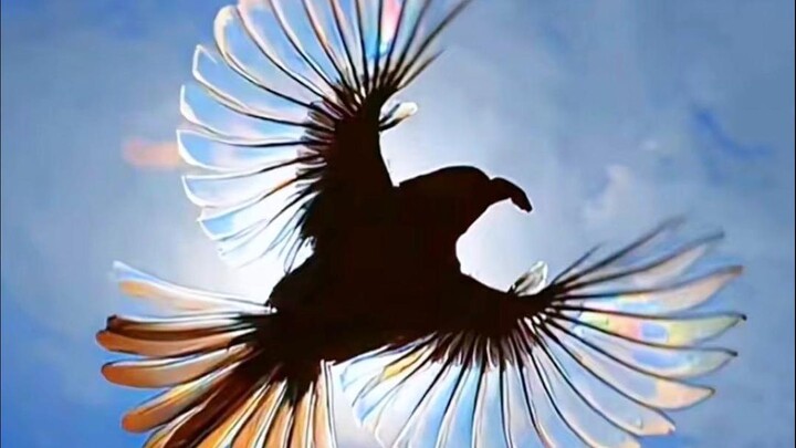 พวกเราเข้าใจผิดเกี่ยวกับสัตว์เหล่านี้มาตลอด!