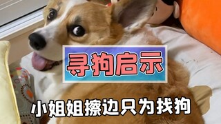 A lost dog triggers a butterfly effect? A young woman takes a different approach to finding her dog!
