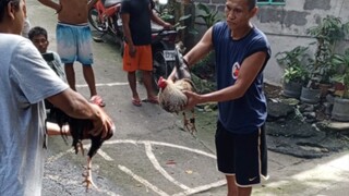 Bulik vs Pula 12-17-23 (Ganda ng Laban)