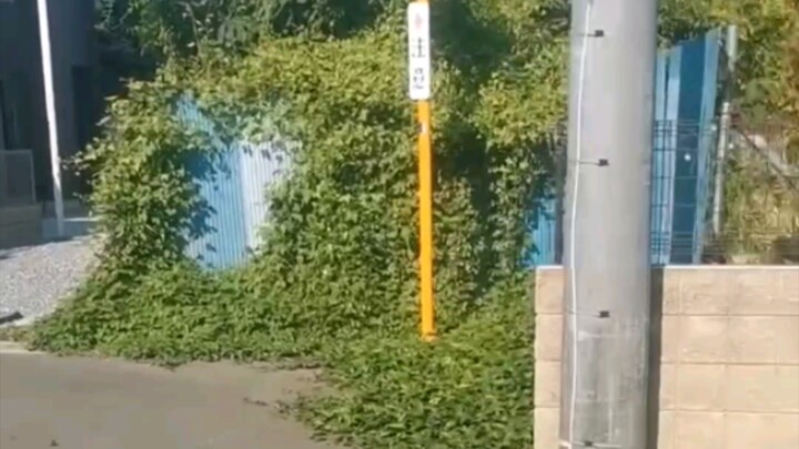 1000 متر في السماء و700 متر تحت الأرض كلها ملكه