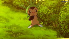 Pokemon XY Episode 10