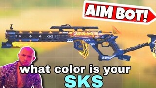 This SKS Skin gives Aimbot