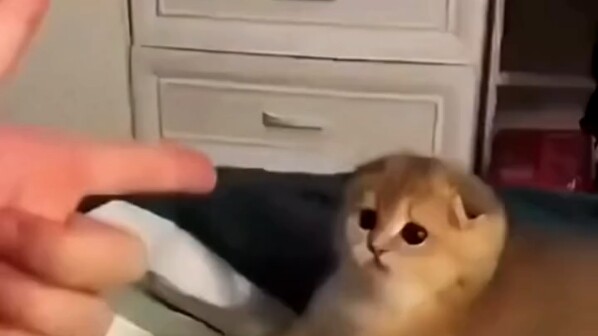 “แท็กสาวน่ารักที่สุดในโลกมาดูหน่อย” “บางทีเราอาจพากันจมความรักลงสู่ก้นมหาสมุทร”