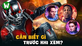 Ant-Man and The Wasp: Quantumania | Cần Biết Gì Trước Khi Xem?