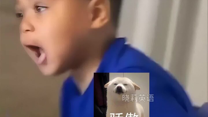 Đỉnh cao của giới ủng hộ!