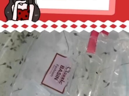 Ini benar-benar si Bocah Iblis telah turun ke dunia!