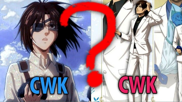 Hanji itu CWK atau CWK❓| Ran Anime Nichi