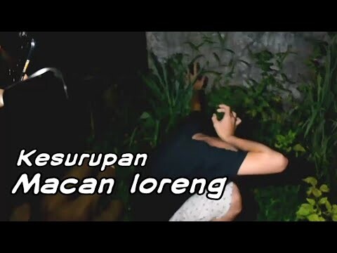 Jejak wengi - Penarikan Mustika