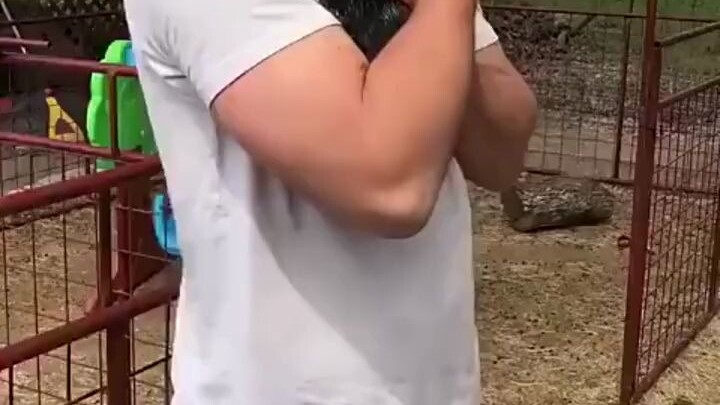 แค่คุณอุ้มลูกแกะตัวหนึ่ง ตัวอื่นก็ต้องถูกอุ้มหมดไม่ให้เหลือสักตัวเดียว