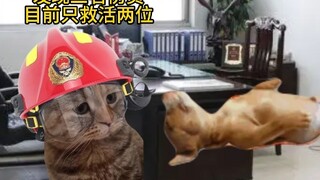 生死簿紧急撤回两人