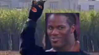 Merit +2