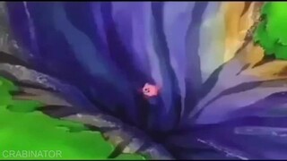 1 minute of memes