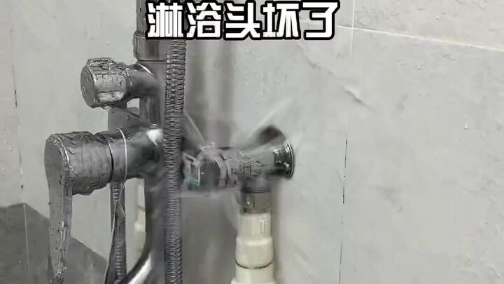 Bạn đã từng đến thủy cung chưa?