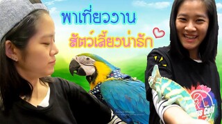 รวมพลคนรักสัตว์เลี้ยง we love pets  EP.37