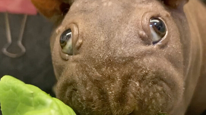 Con à, mình ăn trông nữ tính hơn tí được không?