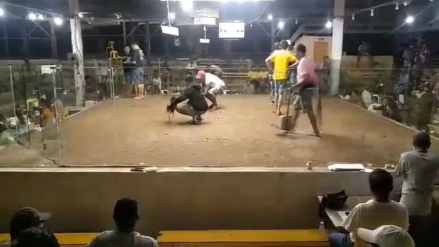 second fight win.2hit ulutan champion tau mga lodi