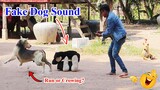Fake Dog Sound Prank Dog, Fake DOG Bark Prank Epic Reaction in Village Dog Barking Prank Run!