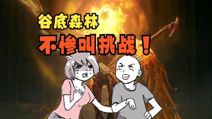艾尔登法环DLC：你就是幽影之地掌管惨叫的神！？