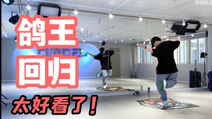 【鸽王回归？！】感 受 一 下 律 动 天 花 板！危险派对-原创编舞 | 猫九教程 | E舞成名花式疯狂VIP