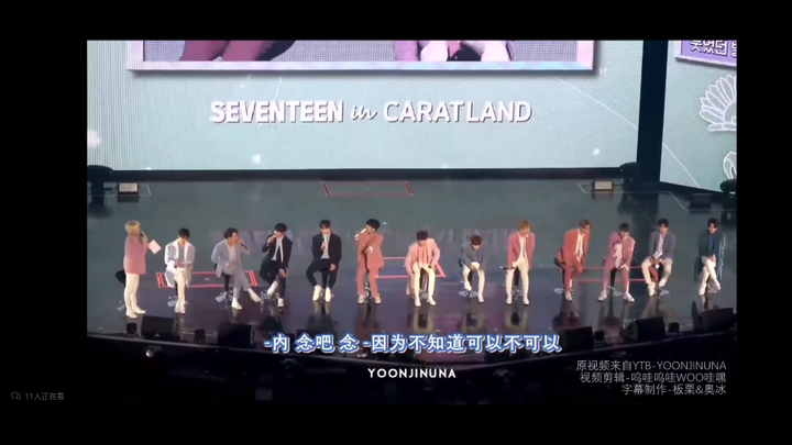 SVT & Carat collectively protect their member: What does "Seoul National University" mean in the con