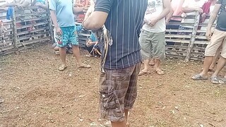 tatakbo pero di susuko