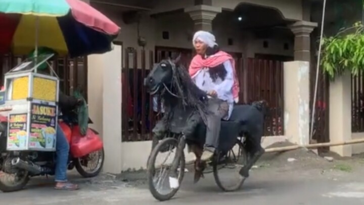 Self-Driving Horse